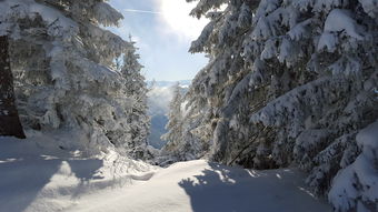 mk体育下载-全国高山滑雪公开赛新王加冕,高山滑雪第四届