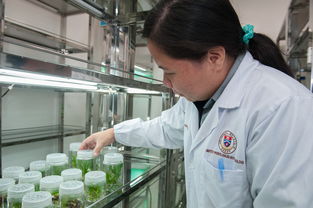 mk体育平台网页版入口-校园体育活动组织创新研究，校园体育活动组织创新研究报告