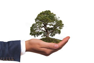 mk体育下载-社会环境参与研究，环境社会学议题