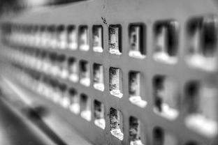 mk sport-高校运动损伤预防技术及应用研究进展,运动损伤与防治试课题答案