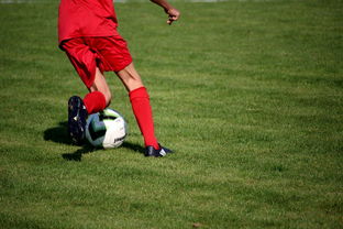 mk体育网页-羽毛球战术训练模块系统化提升实效,羽毛球技战术分析