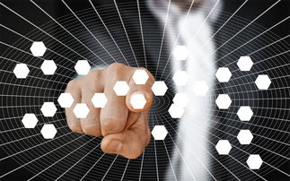 mk sport-蛙泳技术结构分析:谁更高效?,蛙泳的基本技术有哪些